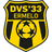 DVS 33 Ermelo logo