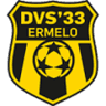 DVS 33 Ermelo logo