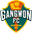 Tiger Scores 365 Gangwon Football Club logo - Football