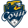 FC Sochi logo