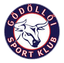 Godollo logo