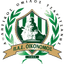 Tsaritsani FC logo