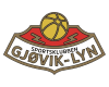 Gjovik Lyn logo - Lyn VS Rade Score Today