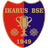 Ikarus BSE U19 logo