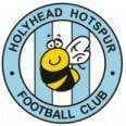 Holyhead logo - Gresford VS Holyhead Sport
