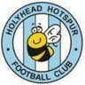Holyhead logo