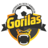 Gorilas de Juanacatlán logo - Juanacatln VS Cd Ayense Score