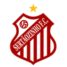 Sertaozinho -SP Youth logo