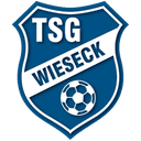 TSG Wieseck U17 logo - U VS Fc Heidenheim U Sport