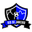 CF Rio de Janeiro logo