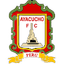 Ayacucho Futbol Club logo