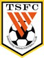 Luneng Football School U14 logo