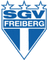 SGV Freiberg logo