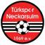 Neckarsulm logo