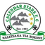 Calender Stars logo