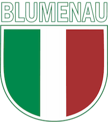 Blumenau SC logo