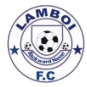 Bullom Stars logo - Lions VS Bullom Stars Score Today