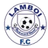 Bullom Stars logo - Sil Pl 33782 Live Score