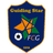 Guiding Star(w) logo