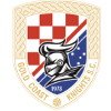 Gold Coast Knights U23 logo - U VS Brisbane Olympic Fc U Score
