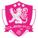 Cilesi FC logo - Neza VS Cilesi Fc Result