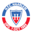 Haarlem logo