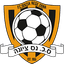 Sectzya Nes Ziona U19 logo