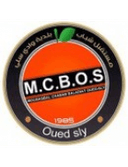 MCB Oued Sly U20 logo - U VS Ain Defla U Live Score Today