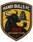 Ha Noi Bulls logo - Tre Cong An Ha Noi Live Scores