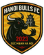 Ha Noi Bulls logo