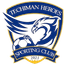 Techiman Heroes SC logo