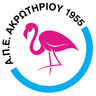 APEA Akrotiriou logo