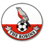 Downton FC logo