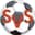 SV Seekirchen logo