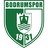 Bodrumspor U19 logo