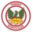Phoenix Sports logo