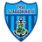 THSE Szabadkikoto logo