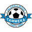 Tartu JK Tammeka U19 logo