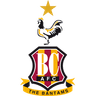 Bradford City logo
