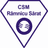 CSM Ramnicu Sarat logo