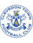 Clevedon Town logo