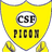 CSF Picon logo