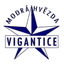 FK Vigantice logo