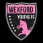 Wexford Youths Women logo