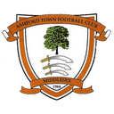 Ashford Town logo - Marlow VS Ashford Town Sport