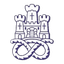Newcastle Town FC logo