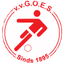 GOES logo