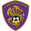 Pathum Thani United logo