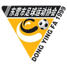 Dongying Team logo