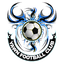 YAWN FC logo